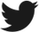 Twitter Icon
